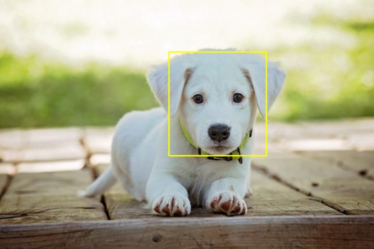 OpenCV-Python Cheat Sheet: From Importing Images to Face Detection