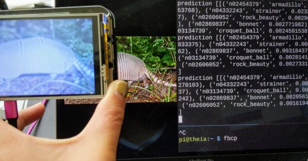 Portable Computer Vision: TensorFlow 2.0 on a Raspberry Pi